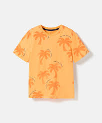 T-shirt C&A — Garçon enfant Chiccou