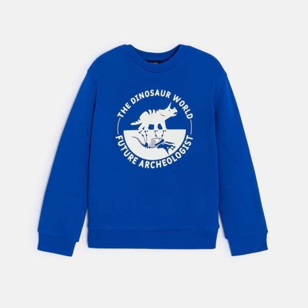 Sweat Okaidi — Garçon enfant Chiccou