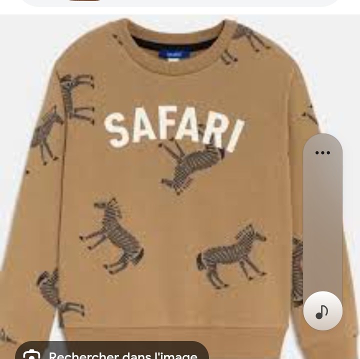 Sweat Okaidi — Garçon enfant Chiccou